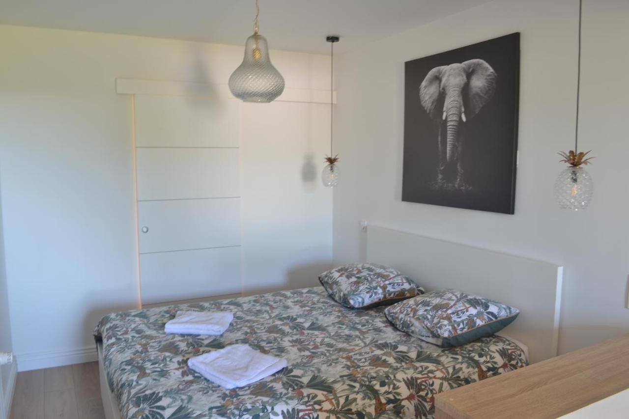 Le Bompard 50 M2 Villa Art Deco Plein Centre Avec Jardin Rodez Buitenkant foto